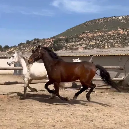 Vakantiehuis Mas Mirono